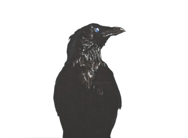 "Corbeaux Dessin 1" başlıklı Resim Aurelien Franck tarafından, Orijinal sanat, Mürekkep
