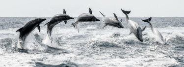 Dolphin Leap off Tenerife – A Photomontage Fotografie getiteld "Dolphin Leap off Te…" door Ron Kramer, Origineel Kunstwerk, Digitale fotografie