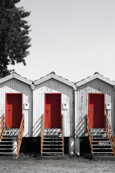 Fotografía titulada "Monochrome & Red II" por Gilliard Bressan, Obra de arte original, Fotografía digital