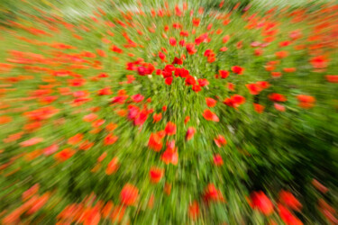 Photographie intitulée "Petal Dance" par Gilliard Bressan, Œuvre d'art originale, Photographie numérique