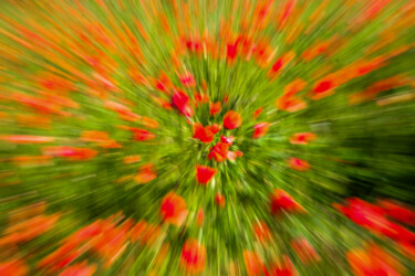 Photographie intitulée "Explosive Bloom" par Gilliard Bressan, Œuvre d'art originale, Photographie numérique