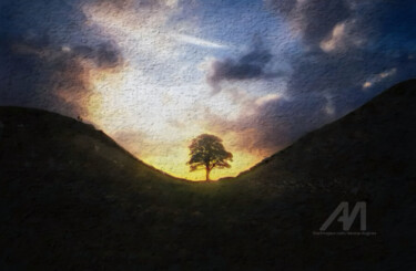 Digital Arts titled "Sycamore Gap Tree" by Davina Dugnas, Original Artwork, Digital Collage Mounted on Wood Stretcher frame