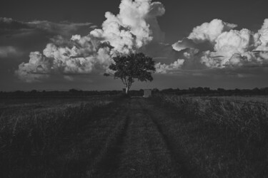 Cloud of change, Camargue, 2020 Photographie intitulée "Cloud of change, Ca…" par Cyrille Mulot, Œuvre d'art originale, Photographie non manipulée
