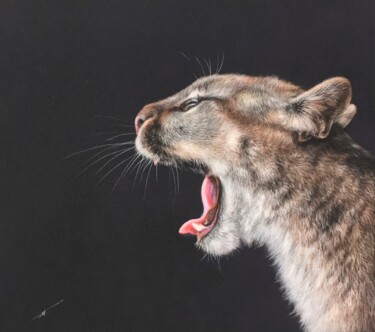 제목이 "Yawning puma"인 그림 Irene_art로, 원작, 파스텔
