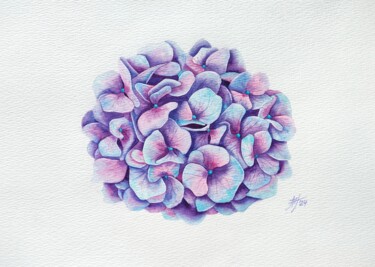 Schilderij getiteld "Hydrangea" door Marina Tolkachyova, Origineel Kunstwerk, Aquarel