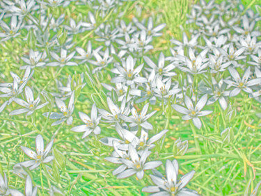 "Tiny flowers in pal…" başlıklı Fotoğraf Masaharu Takahashi tarafından, Orijinal sanat, Dijital Fotoğrafçılık