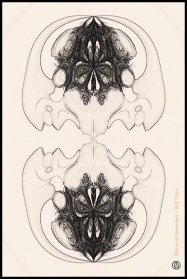 Bi-lateral Biomorph Printmaking titled "Bi-lateral Biomorph" by Wilf Tilley, Original Artwork, Digital Print