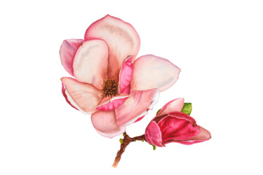 Painting titled "Light magnolia" by Oksana Oleksiiva, Original Artwork, Watercolor