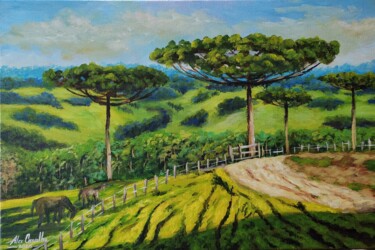 Araucárias na serra Pintura intitulada "Araucárias na serra" por Alex Carvalho, Obras de arte originais, Acrílico Montado em Armação em madeira