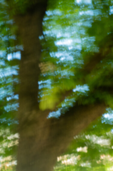 Mon sentiment de printemps