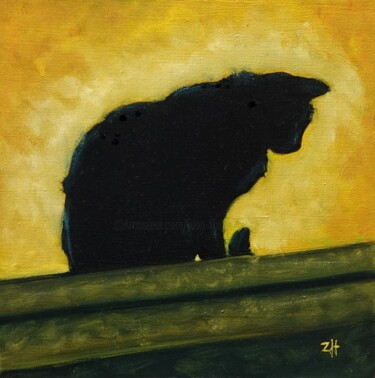 Il gatto d'Ospedaletti 12