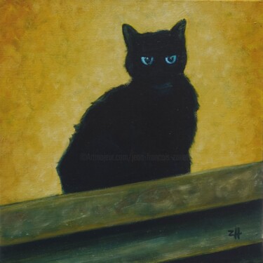 Il gatto d'Ospedaletti 3