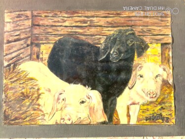 绘画 标题为“Animaux de la Ferme” 由Daoudi Mohamed, 原创艺术品, 油