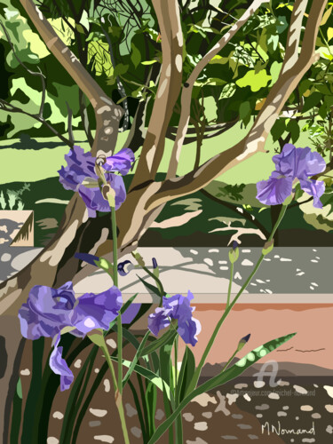 2025-05-09 le jardin de Michèle - Les Iris sous l’Olivier