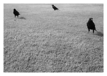 "Carte 2" başlıklı Fotoğraf Aurelien Franck tarafından, Orijinal sanat, Dijital Fotoğrafçılık