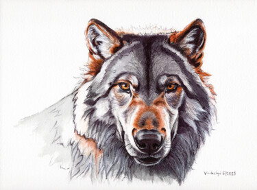 Wolf 5 "Wolf 5" başlıklı Resim Lilla Varhelyi tarafından, Orijinal sanat, Mürekkep