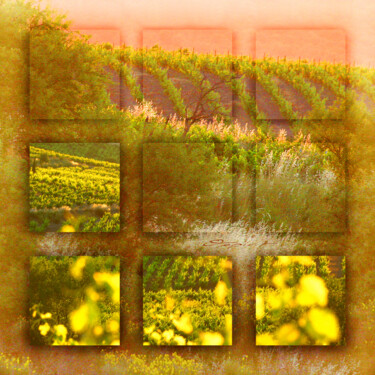 L'or des Coteaux Fotografía titulada "L'or des Coteaux" por Gilles Deschamps (OXPIRIT), Obra de arte original, Fotografía manipulada Montado…