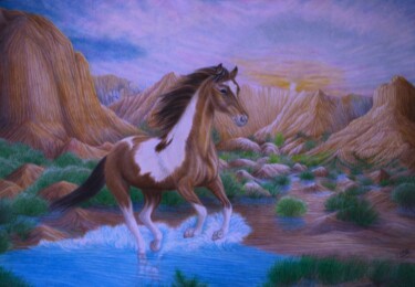 American Wild Horse Conservation "American Wild Horse…" başlıklı Resim Deidra Smith tarafından, Orijinal sanat, Kalem