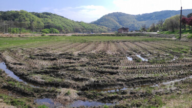Whispers of Spring: The Resting Rice Field Fotografia intitolato "Whispers of Spring:…" da Yeon-Gyeong Seo (Seo), Opera d'arte originale, Fotografia digitale