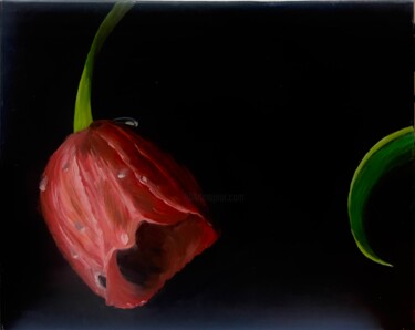 "Red Tulip on a Blac…" başlıklı Tablo Vera Sol tarafından, Orijinal sanat, Petrol Ahşap Sedye çerçevesi üzerine monte edilmiş