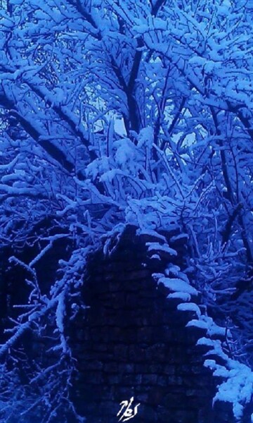 Photography titled "Hiver" by Abricodéal Îles, Original Artwork, Digital Photography