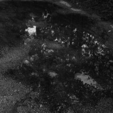 Puddles 2 "Puddles 2" başlıklı Fotoğraf Penitent47 tarafından, Orijinal sanat, Analog Fotoğrafçılık