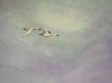绘画 标题为“Two white birds” 由Elena Koroleva, 原创艺术品, 丙烯