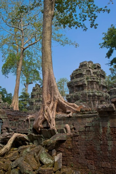 제목이 "Angkor Temple - Nat…"인 사진 Michel Kergonna로, 원작, 디지털 알루미늄에 장착됨