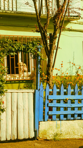 "A Tiny Wait: A Swee…" başlıklı Fotoğraf Telsiz Fotoğraf tarafından, Orijinal sanat, Dijital Fotoğrafçılık