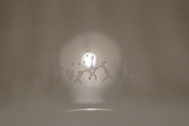 Fotografia intitolato "Moondance" da Petr Stovbur, Opera d'arte originale, Fotografia non manipolata