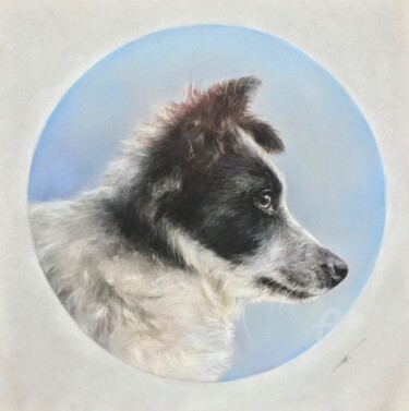 Σχέδιο με τίτλο "Sly dog" από Irene_art, Αυθεντικά έργα τέχνης, Παστέλ