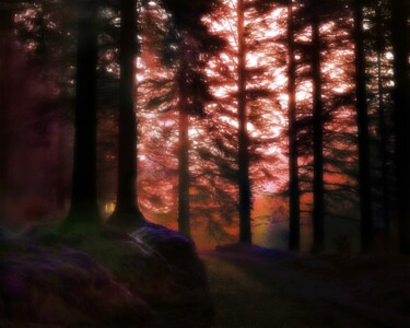 Фотография под названием "Whinlatter Forest,…" - Peter Watson, Подлинное произведение искусства, Пленочная фотография