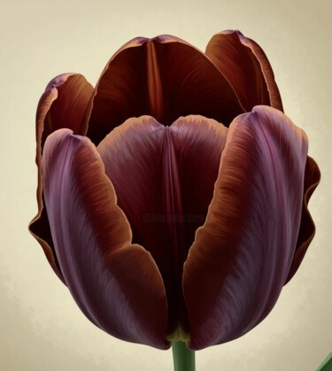 DAJA BLAQQ: FLOWER SERIES COLLECTION (QUEEN TULIP/BROWN) "DAJA BLAQQ: FLOWER…" başlıklı Baskıresim Daja tarafından, Orijinal sanat, AI tarafından oluşturulan görüntü