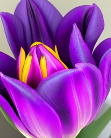 DAJA BLAQQ: FLOWER SERIES COLLECTION (QUEEN PURPLE TULIP) Printmaking titled "DAJA BLAQQ: FLOWER…" by Daja, Original Artwork, AI generated image