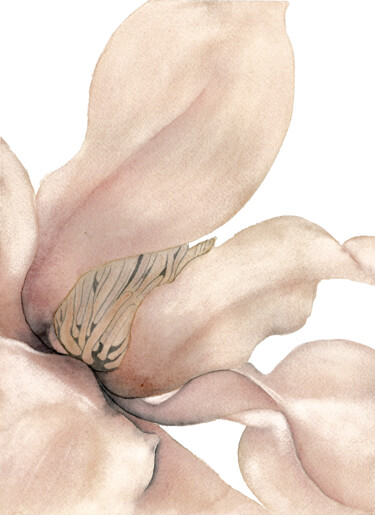 Schilderij getiteld "Coeur de magnolia" door Michouflou, Origineel Kunstwerk, Aquarel