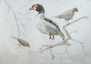 Pittura intitolato "birds" da Pavel Minchenia, Opera d'arte originale, Acquarello