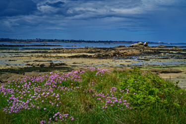 Carantec, l'île Callot, St Pol de Léon, Roscoff en mai. Photography titled "Carantec, l'île Cal…" by Thierry Martin, Original Artwork, Digital Photography
