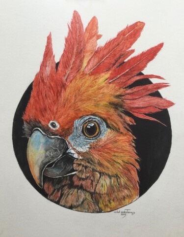 Pintura intitulada "ARAKISOURI" por Michel Cendra-Terrassa, Obras de arte originais, Aquarela