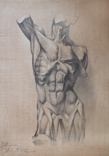 Pittura intitolato "plaster torso" da Pavel Minchenia, Opera d'arte originale, Matita