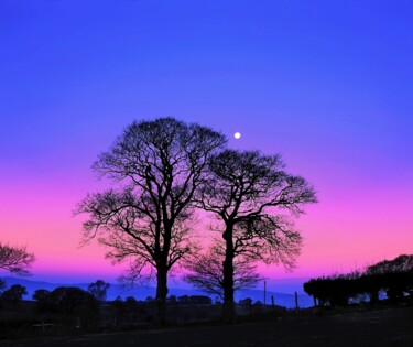 Fotografia intitolato "Harvest Moon" da Peter Watson, Opera d'arte originale, fotografia a pellicola