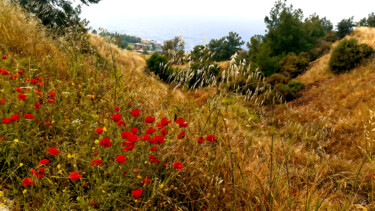 Fotografia intitolato "Red poppies in the…" da Sergei Gundorov, Opera d'arte originale, Pittura digitale
