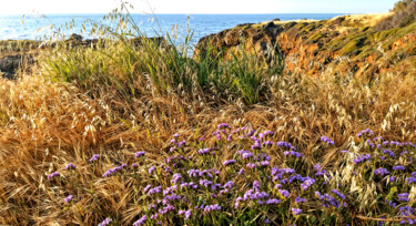 Wild flowers on the coast of Cyprus Photography titled "Wild flowers on the…" by Sergei Gundorov, Original Artwork, Digital Photography