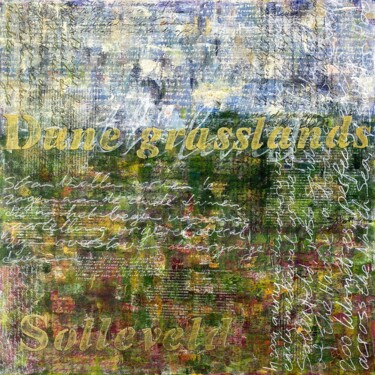 Solleveld 绘画 标题为“Solleveld” 由Elise Eekhout, 原创艺术品, 丙烯 安装在木质担架架上