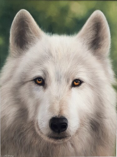 绘画 标题为“Portrait de loup” 由Cathy Cheneau, 原创艺术品, 粉彩