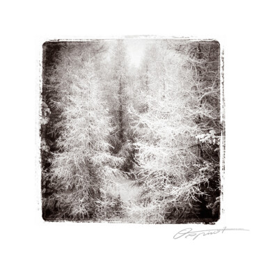 Фотография под названием "Silence de neige" - Gilles Deschamps (OXPIRIT), Подлинное произведение искусства, Манипулированная…