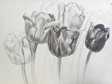 Tulips graphics Pintura intitulada "Tulips graphics" por Natal A Hudakova, Obras de arte originais, Lápis