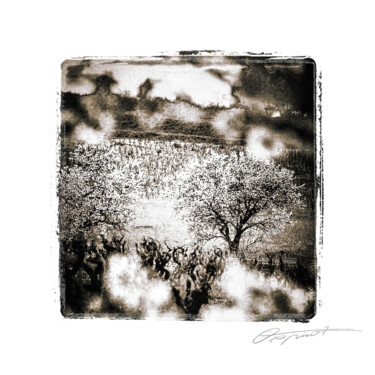 Éveil au milieu des rangs Fotografía titulada "Éveil au milieu des…" por Gilles Deschamps (OXPIRIT), Obra de arte original, Fotografía manipulada Mont…