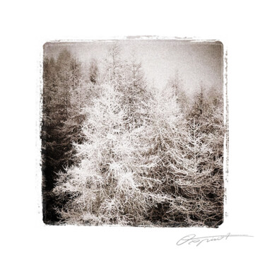Givre des sommets Fotografia zatytułowany „Givre des sommets” autorstwa Gilles Deschamps (OXPIRIT), Oryginalna praca, Fotografia cyfrowa Zamon…