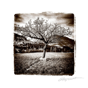 Silence des hauteurs Fotografía titulada "Silence des hauteurs" por Gilles Deschamps (OXPIRIT), Obra de arte original, Fotografía digital Montado…