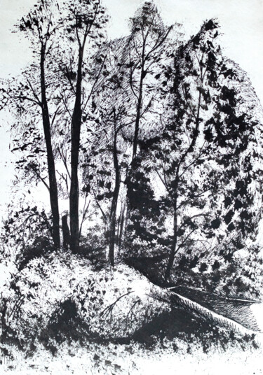 Schilderij getiteld "at the edge of the…" door Pavel Minchenia, Origineel Kunstwerk, Inkt
